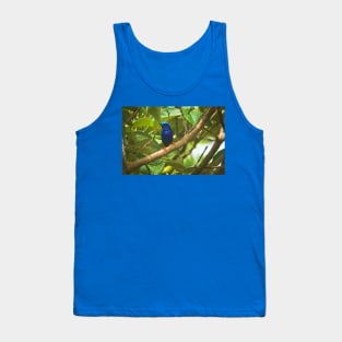 Cla blue bird Tank Top